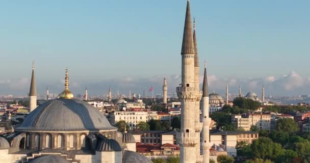 Istanbul Turkey Sultanahmet Blue Mosque Hagia Sophia Golden Horn Background — Stock videók