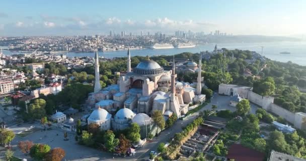 Istanbul Turkey Sultanahmet Blue Mosque Hagia Sophia Golden Horn Background — Video