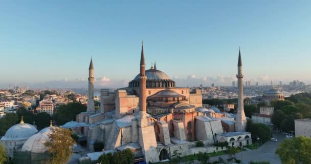 Istanbul Turkey Sultanahmet Blue Mosque Hagia Sophia Golden Horn Background — 비디오