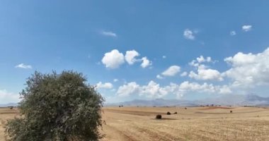 Farm fields Background Texture Aerial top View and lonely try tracking orbiting shoot. Turkey Countryside agricultural farmland near Antalya. High quality 4k footage