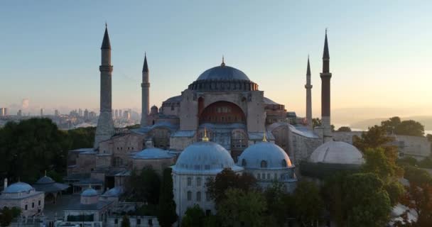 Istanbul Turkey Sultanahmet Blue Mosque Hagia Sophia Golden Horn Background — 비디오