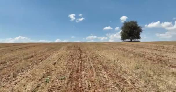 Farm Fields Background Texture Aerial Top View Lonely Try Tracking — Stockvideo
