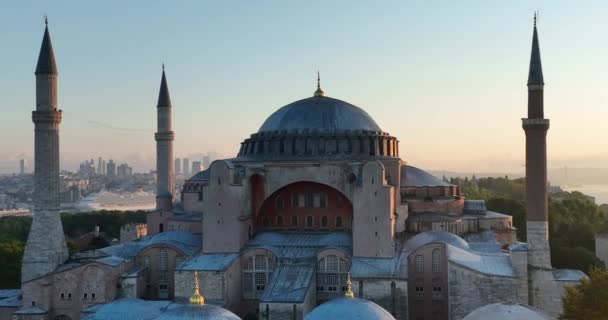 Istanbul Turkey Sultanahmet Blue Mosque Hagia Sophia Golden Horn Background — Video