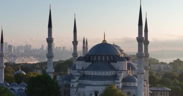 Istanbul Turkey Sultanahmet Blue Mosque Hagia Sophia Golden Horn Background — Video