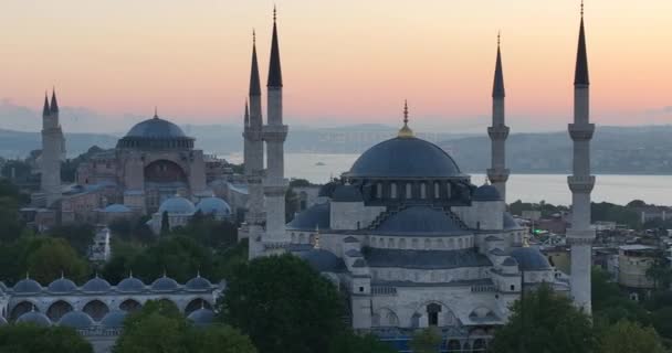 Istanbul Turkey Sultanahmet Blue Mosque Hagia Sophia Golden Horn Background — ストック動画