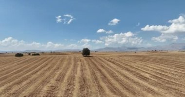 Farm fields Background Texture Aerial top View and lonely try tracking orbiting shoot. Turkey Countryside agricultural farmland near Antalya. High quality 4k footage