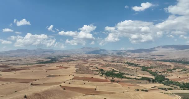 Farm Fields Background Texture Aerial Top View Lonely Try Tracking — Αρχείο Βίντεο