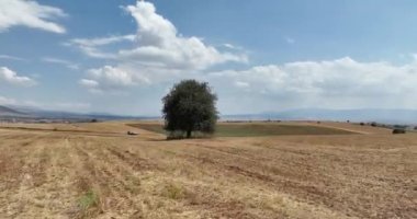 Farm fields Background Texture Aerial top View and lonely try tracking orbiting shoot. Turkey Countryside agricultural farmland near Antalya. High quality 4k footage