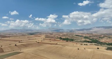 Farm fields Background Texture Aerial top View and lonely try tracking orbiting shoot. Turkey Countryside agricultural farmland near Antalya. High quality 4k footage
