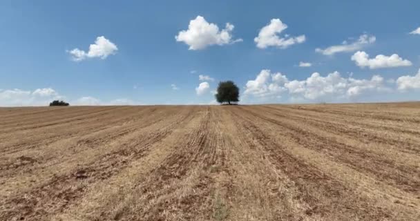 Farm Fields Background Texture Aerial Top View Lonely Try Tracking — Stockvideo