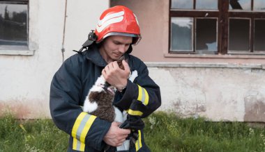 Koruyucu takım elbiseli ve kırmızı kasklı kahraman itfaiyecinin yakın plan portresi kurtarılmış kediyi kollarında tutuyor. İtfaiyeci itfaiye operasyonunda. Yüksek kalite fotoğraf