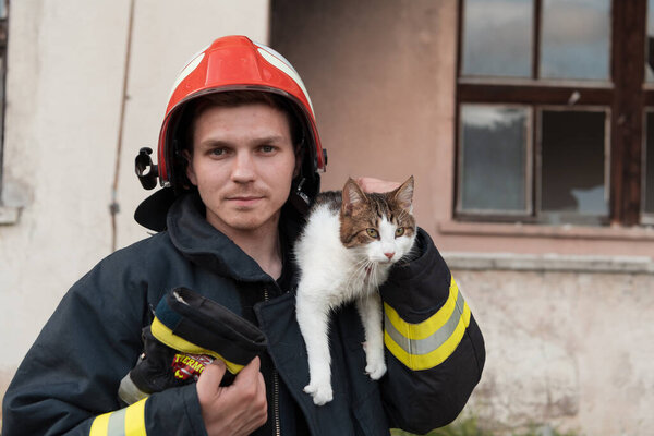 Close-up portrait of heroic fireman in protective suit and red helmet holds saved cat in his arms. Firefighter in fire fighting operation. High quality photo