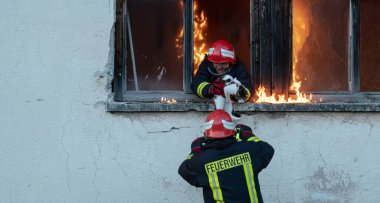 İtfaiyeci kahraman yangından sonra kediyi yanan binadan dışarı taşıyor. Hayvanı tehlikeli bir yerden kurtarmak. Takım çalışması konsepti. Yüksek kalite fotoğraf