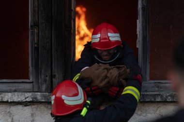 İtfaiyeci kahraman yangından sonra bebeğini yanan binadan dışarı taşıyor. İnsanları tehlikeli bir yerden kurtarmak. Takım çalışması Yüksek kalite fotoğraf