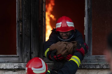 İtfaiyeci kahraman yangından sonra bebeğini yanan binadan dışarı taşıyor. İnsanları tehlikeli bir yerden kurtarmak. Takım çalışması Yüksek kalite fotoğraf