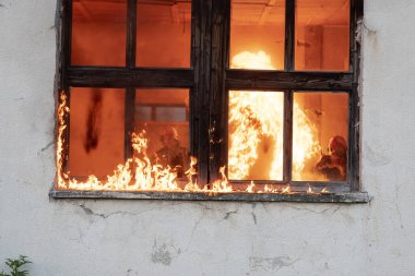 İtfaiyeci kahraman yangından sonra kediyi yanan binadan dışarı taşıyor. Hayvanı tehlikeli bir yerden kurtarmak. Takım çalışması konsepti. Yüksek kalite fotoğraf