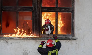 İtfaiyeci kahraman yangından sonra kediyi yanan binadan dışarı taşıyor. Hayvanı tehlikeli bir yerden kurtarmak. Takım çalışması konsepti. Yüksek kalite fotoğraf