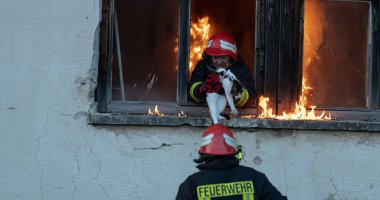İtfaiyeci kahraman yangından sonra kediyi yanan binadan dışarı taşıyor. Hayvanı tehlikeli bir yerden kurtarmak. Takım çalışması konsepti. Yüksek kalite fotoğraf