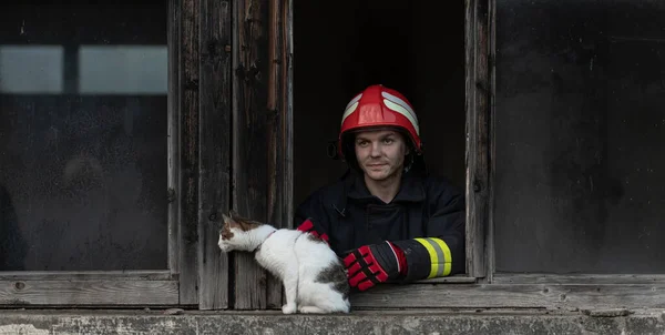 Pahlawan Pemadam Kebakaran Membawa Kucing Keluar Dari Area Bangunan Terbakar — Stok Foto