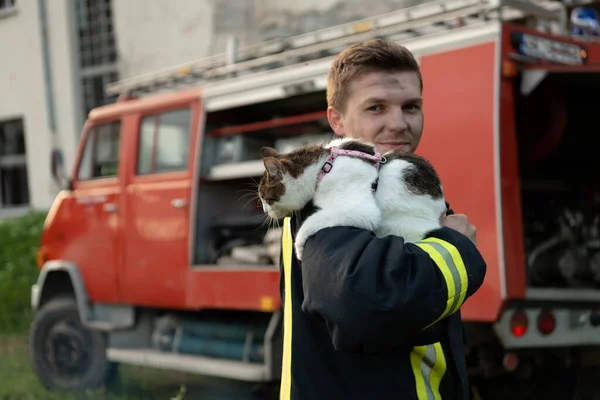 Close-up portrait of heroic fireman in protective suit and red helmet holds saved cat in his arms. Firefighter in fire fighting operation. High quality photo