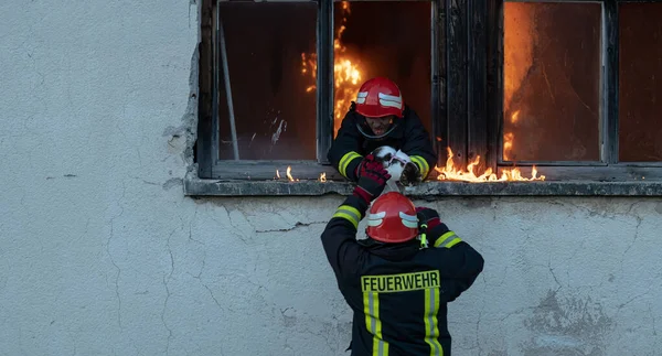 Héroe Bombero Llevando Gato Fuera Zona Del Edificio Llamas Por —  Fotos de Stock