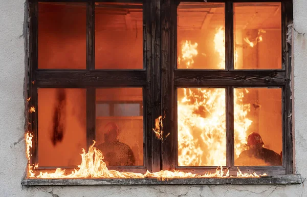 Πυροσβέστης Ήρωας Που Μεταφέρει Γάτα Έξω Από Φλεγόμενο Κτίριο Από — Φωτογραφία Αρχείου