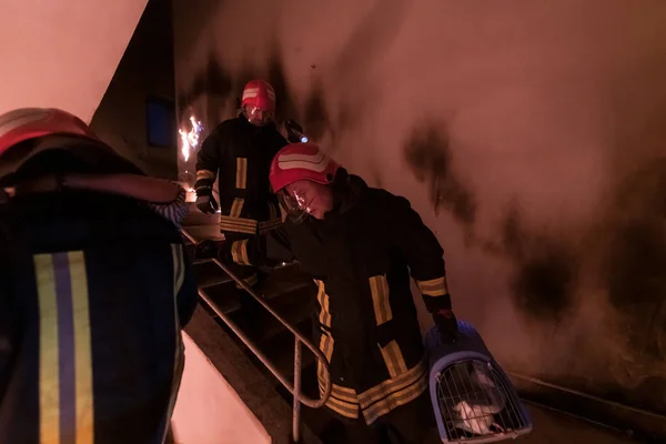 Brave Fireman Descends Stairs Burning Building Holds Saved Girl His — Stock Photo, Image