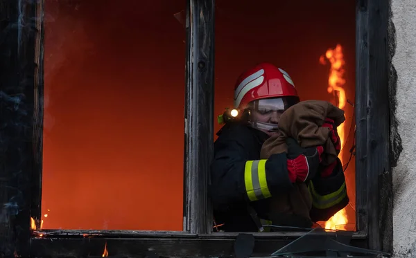 Héroe Bombero Llevando Niña Fuera Zona Del Edificio Llamas Por —  Fotos de Stock