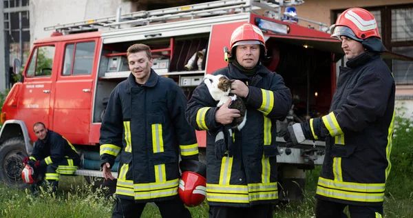 firefighters group in a protective suit and red helmet holds saved cat in his arms. Firefighter in fire fighting operation. High quality photo