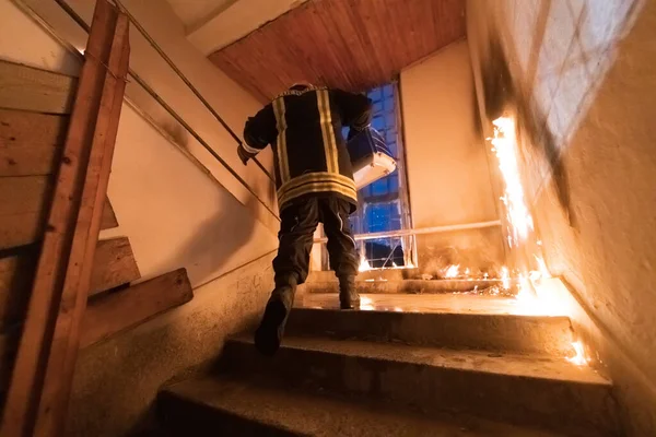 Tűzoltó Hős Macskaállatot Cipel Táskás Dobozban Tűzeset Égő Épületéből Mentsd — Stock Fotó
