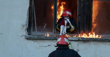 İtfaiyeci kahraman yangından sonra kediyi yanan binadan dışarı taşıyor. Hayvanı tehlikeli bir yerden kurtarmak. Takım çalışması konsepti. Yüksek kalite fotoğraf