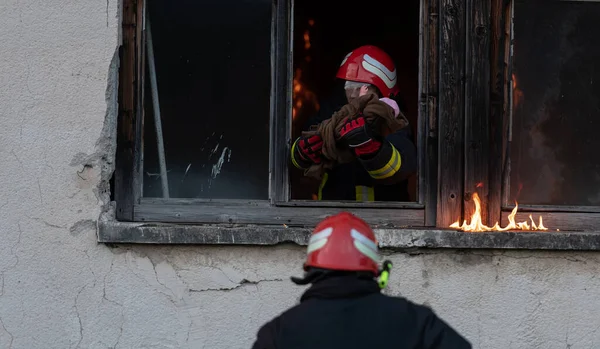 Герой Пожежників Який Виносить Дівчинку Палаючої Будівлі Пожежі Врятувати Людей — стокове фото