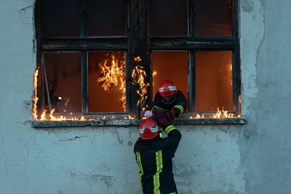 消防士のヒーロー火災事件から建物の領域を燃焼から赤ちゃんの女の子を運ぶ 危険な場所から人々を救う チームワーク高品質の写真 — ストック写真