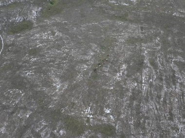 Kırsal kesimde bulutlu bir günde yumuşak sisle kaplı çayırların hava görüntüleri. Hava manzaralı samimi kırsal görüş HI kalitesinde sinematik hava çekimi.