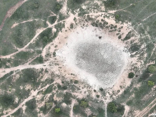 Tiro Aéreo Prados Cobertos Com Névoa Suave Dia Nublado Campo — Fotografia de Stock