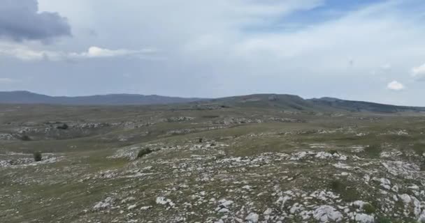 Kırsal Kesimde Bulutlu Bir Günde Yumuşak Sisle Kaplı Çayırların Hava — Stok video