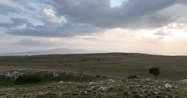 Colpo Aereo Prati Ricoperti Morbida Nebbia Una Giornata Nuvolosa Campagna — Video Stock