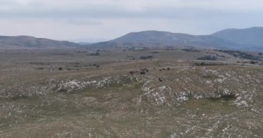 Kırsal kesimde bulutlu bir günde yumuşak sisle kaplı çayırların hava görüntüleri. Hava manzaralı samimi kırsal görüş HI kalitesinde sinematik hava çekimi.