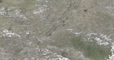 Vahşi Doğa 'da Dörtnala Koşan Büyük Atlar Sürüsünün Üzerindeki Destansı Hava Altın Saat At Yetiştirme Ekolojik Keşif Gücü 4K. Merhaba kaliteli stok görüntüleri