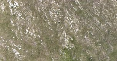 Kırsal kesimde bulutlu bir günde yumuşak sisle kaplı çayırların hava görüntüleri. Hava manzaralı samimi kırsal görüş HI kalitesinde sinematik hava çekimi.