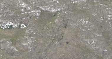 Kırsal kesimde bulutlu bir günde yumuşak sisle kaplı çayırların hava görüntüleri. Hava manzaralı samimi kırsal görüş HI kalitesinde sinematik hava çekimi.