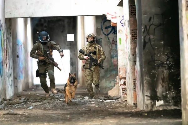 Modern Hadviselés Katonák Katonai Kereső Kutyával Csatatéren Kiváló Minőségű Fénykép — Stock Fotó