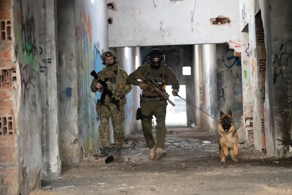 Soldados Guerra Modernos Com Cão Trabalho Militar Ação Campo Batalha — Fotografia de Stock