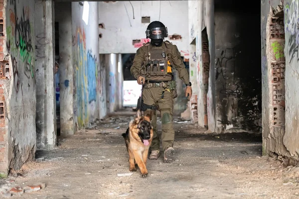戦場で軍用作業犬と現代の戦争兵士 高品質の写真 — ストック写真