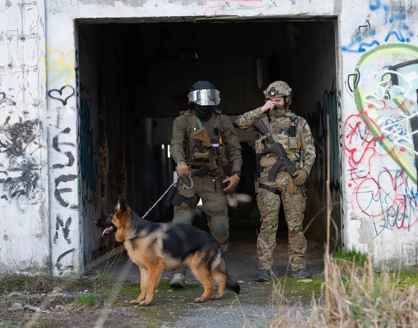 Çağdaş Savaş Askerleri Nin Savaş Alanında Çalışan Bir Köpeği Var — Stok fotoğraf