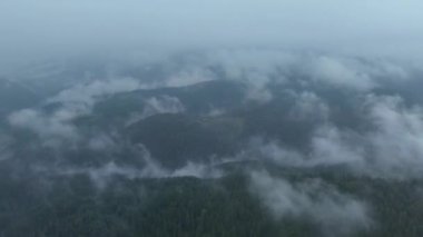 Beyaz kabarık bulutlar arasında temiz hava ve arka planda kötü hava ile gökyüzünde uçan sinematik nefes kesici hava. Cennet konsepti, doğa manzarası 4K