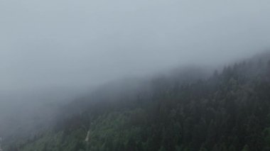 Beyaz kabarık bulutlar arasında temiz hava ve arka planda kötü hava ile gökyüzünde uçan sinematik nefes kesici hava. Cennet konsepti, doğa manzarası 4K