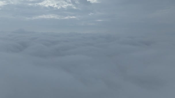 空高く白いふわふわの雲の中を 清新な空気と悪天候を背景に 息をのむような空気が飛んでいます パラダイスコンセプト 自然風景映像 — ストック動画