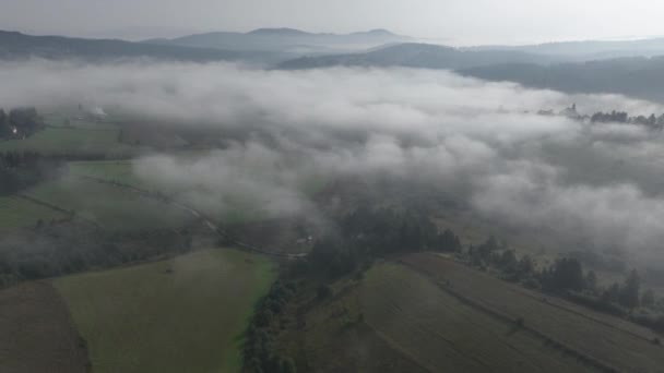 电影般的令人叹为观止的空中飞行在天空中的白色蓬松的云彩中 背景是清新的空气和恶劣的天气 天堂概念 自然景观镜头4K — 图库视频影像