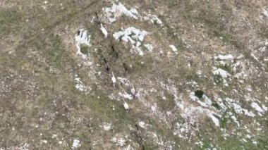 Uçan İHA 'nın, bozkırda dört nala koşan vahşi at sürüsünün üzerinde uçarken çekilmiş havadan çekilmiş yavaş çekim görüntüleri. Bulutlu doğal manzara. Vahşi doğa, arka planda dağlar. 
